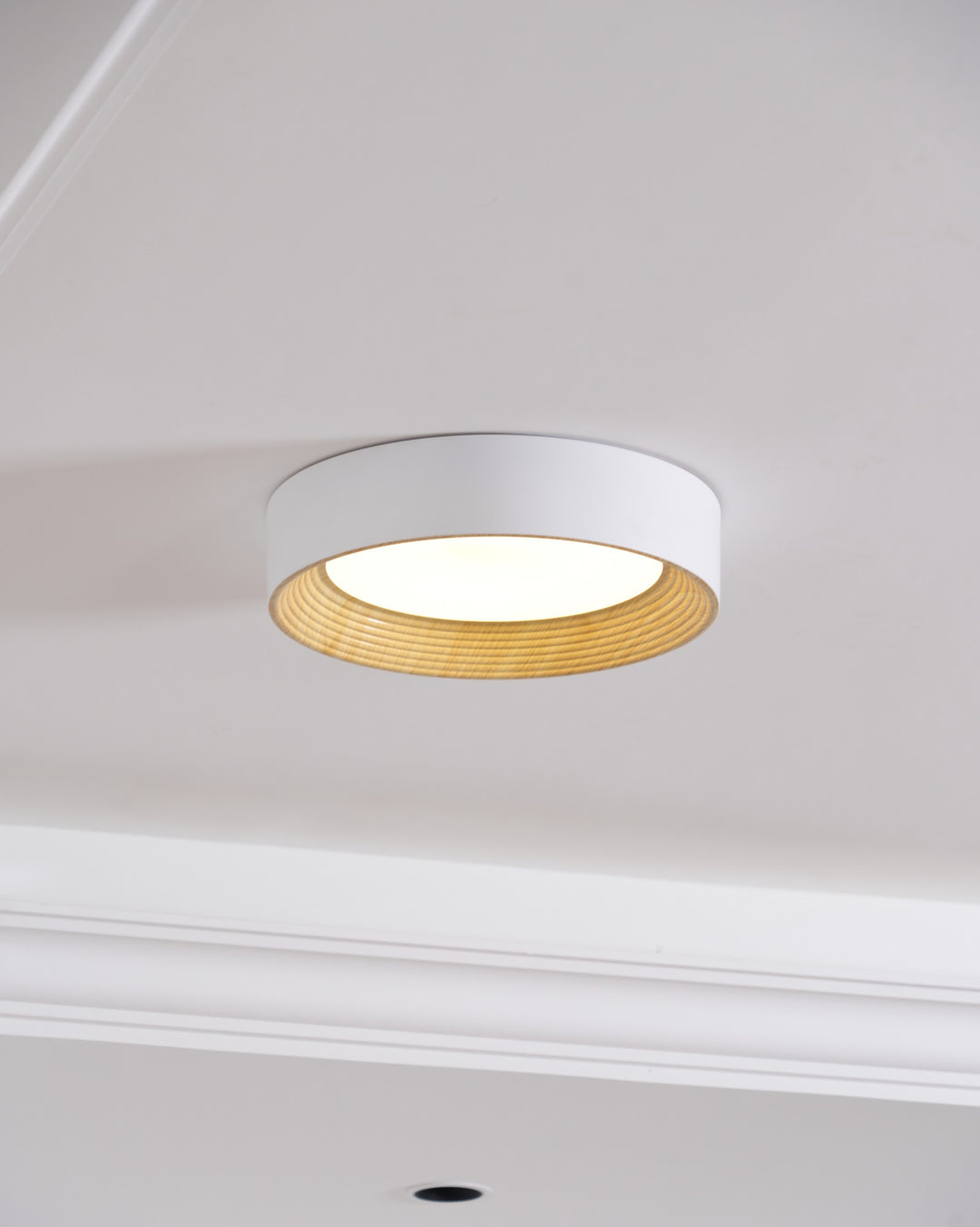 Oreen Ceiling Lamp - Vakkerlight