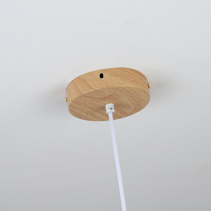 Ovalo Grain Pendant Light - Vakkerlight