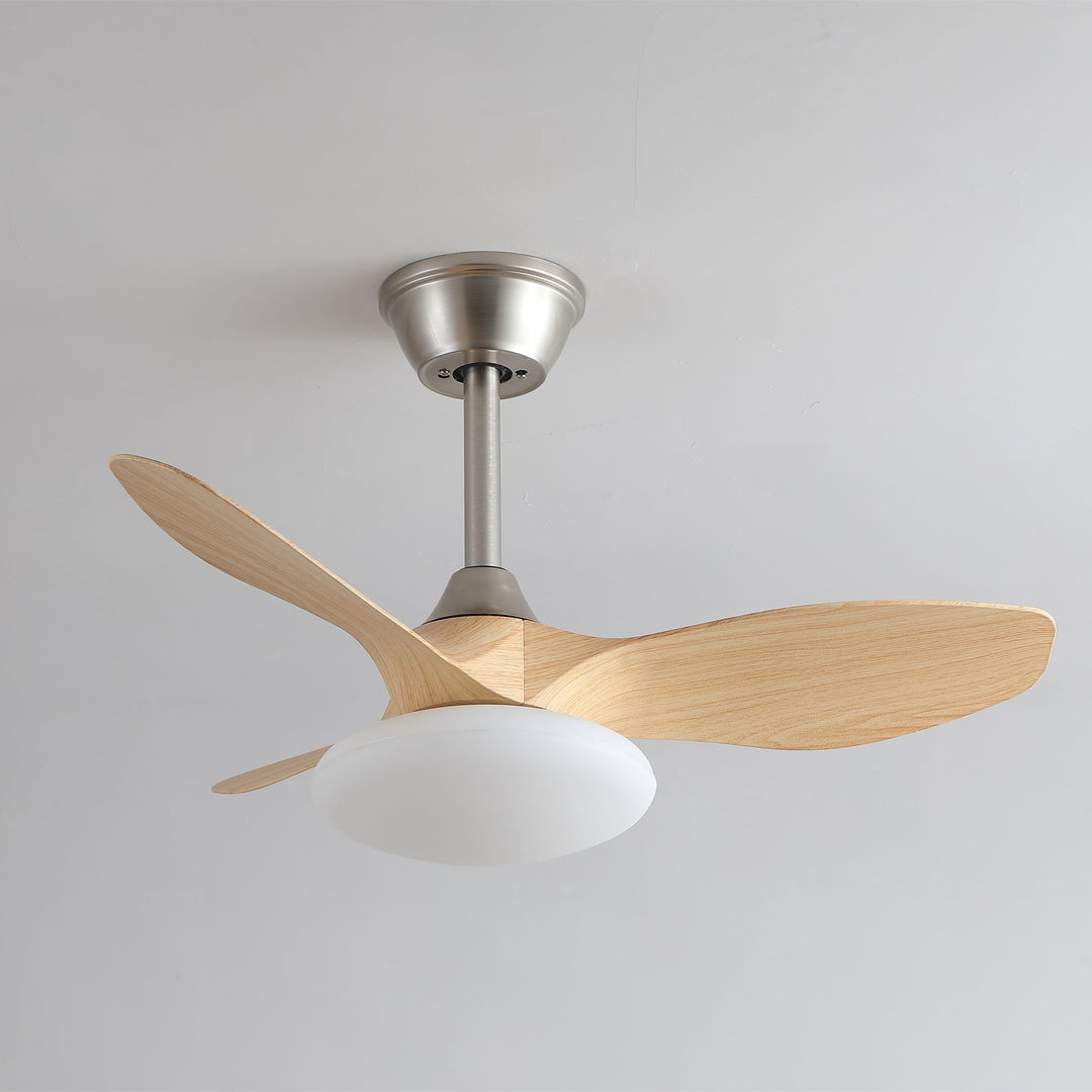 Zephira Ceiling Fan Light - Vakkerlight