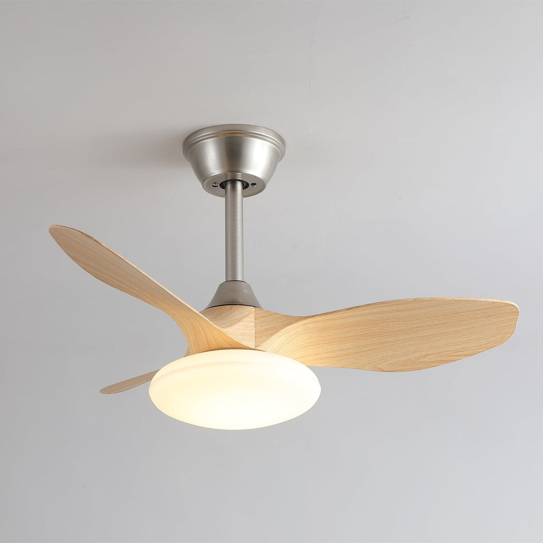Zephira Ceiling Fan Light - Vakkerlight