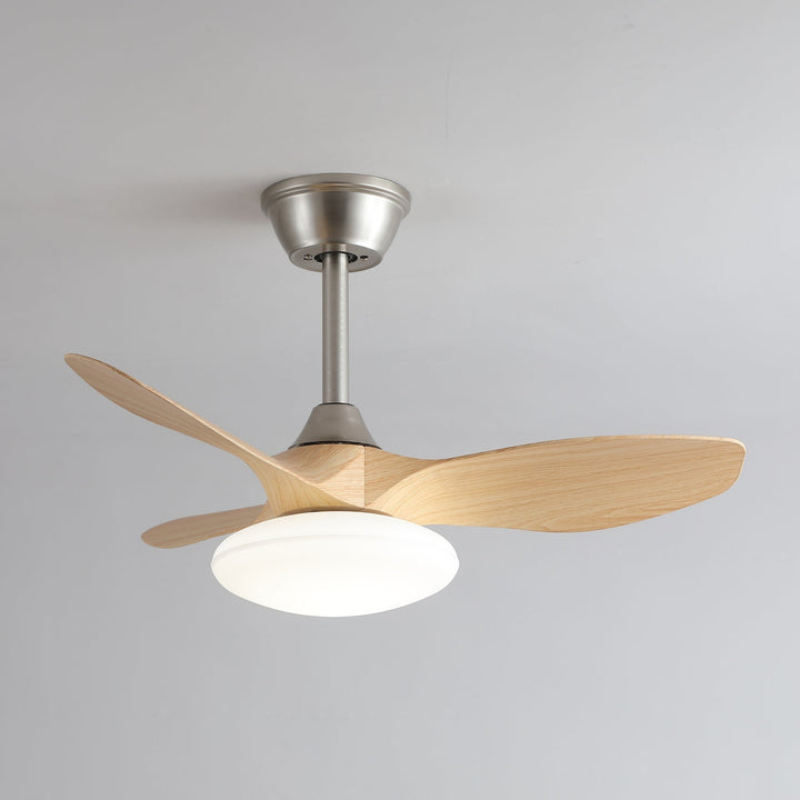 Zephira Ceiling Fan Light - Vakkerlight