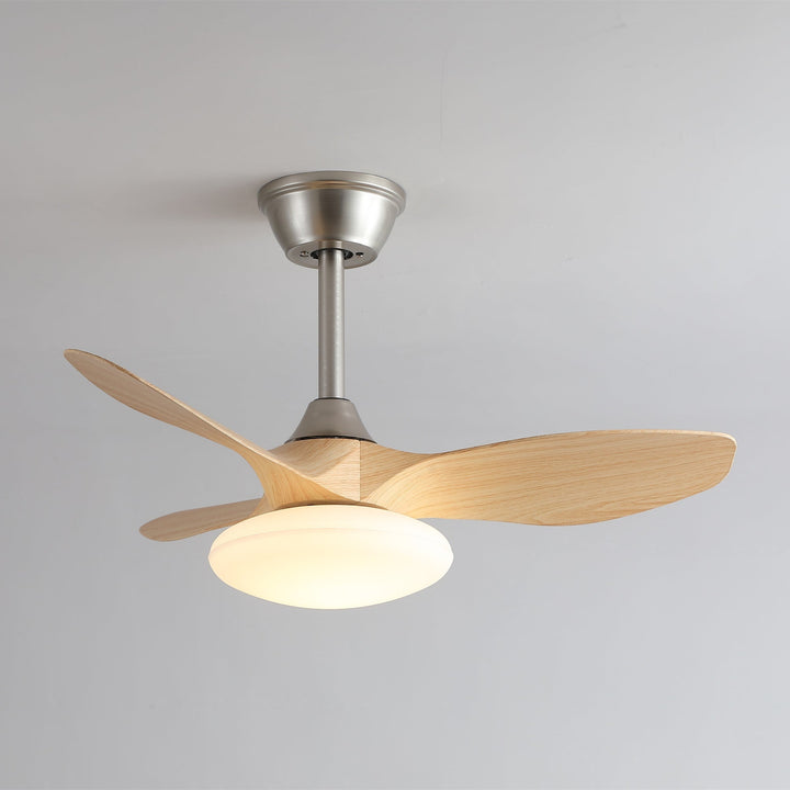 Zephira Ceiling Fan Light - Vakkerlight