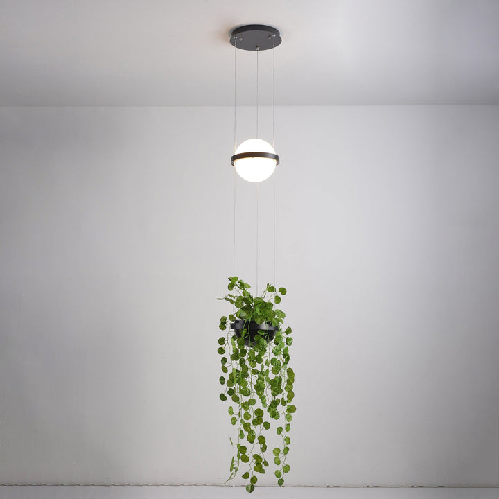 Orbit Sphere Pendant Lamp - Vakkerlight