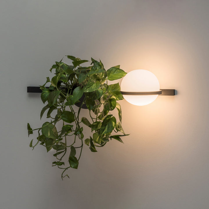 Solstice Outdoor Wall Light