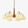 Persimmon Chandelier - Vakkerlight