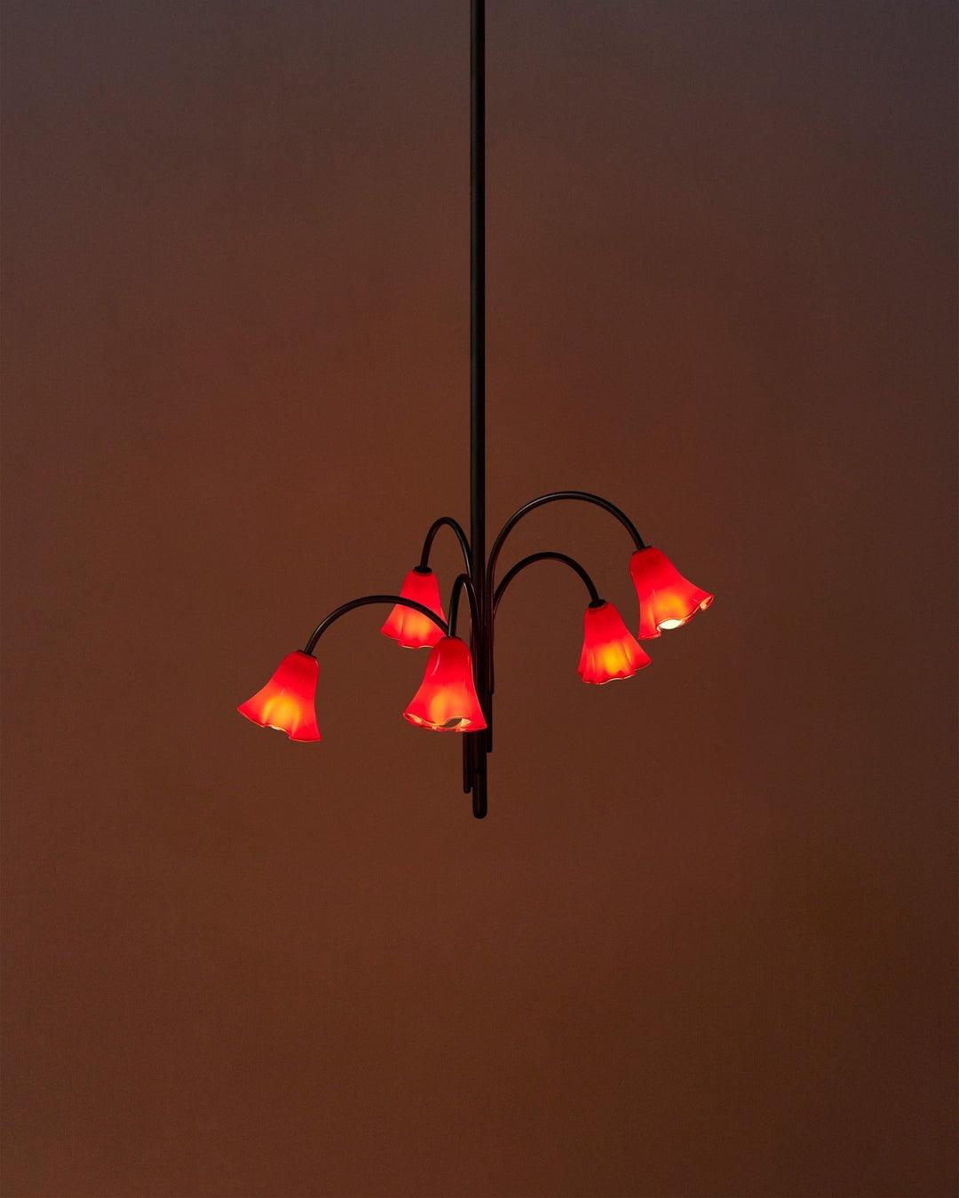 Petalia Blossom Chandelier - Vakkerlight