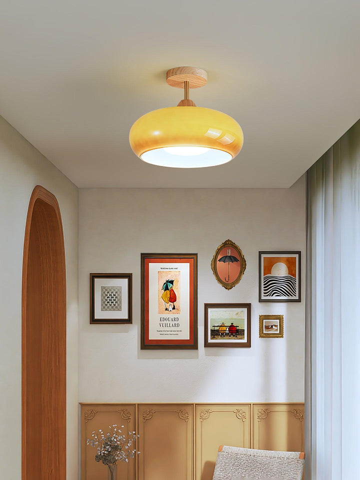 Plafonnier Ceiling Lamp - Vakkerlight