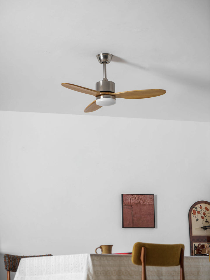 Polaris Ceiling Fan Light - Vakkerlight
