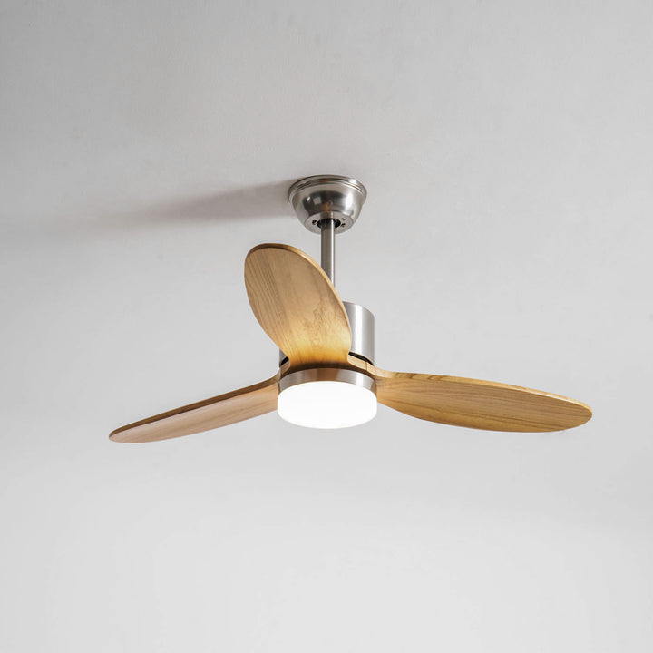 Polaris Ceiling Fan Light - Vakkerlight