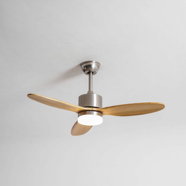 Polaris Ceiling Fan Light - Vakkerlight