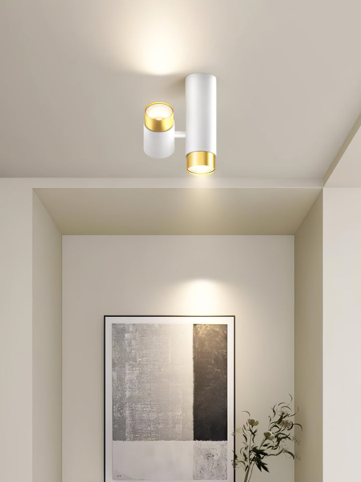 Puma Spotlight Ceiling Light - Vakkerlight