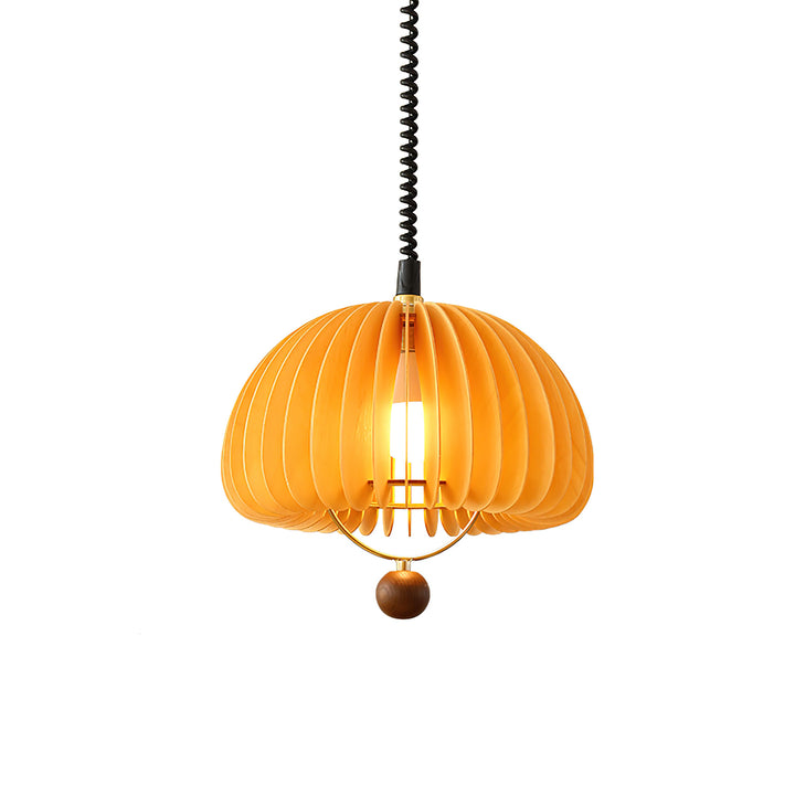 Pumpkin Adjustable Pendant Light - Vakkerlight