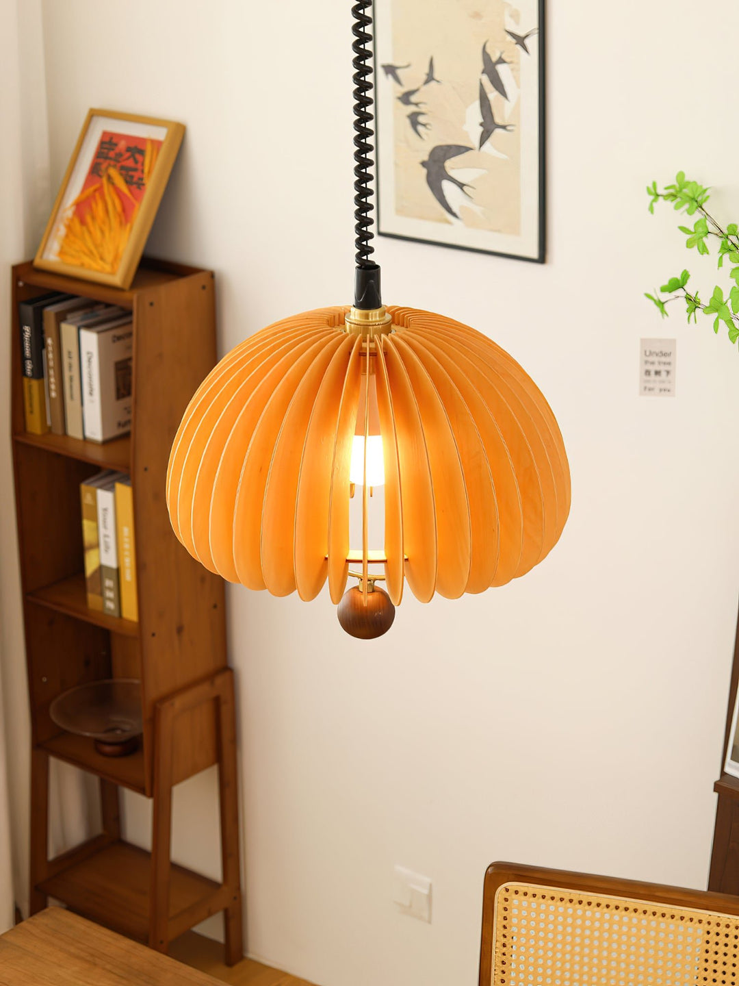 Pumpkin Adjustable Pendant Light - Vakkerlight