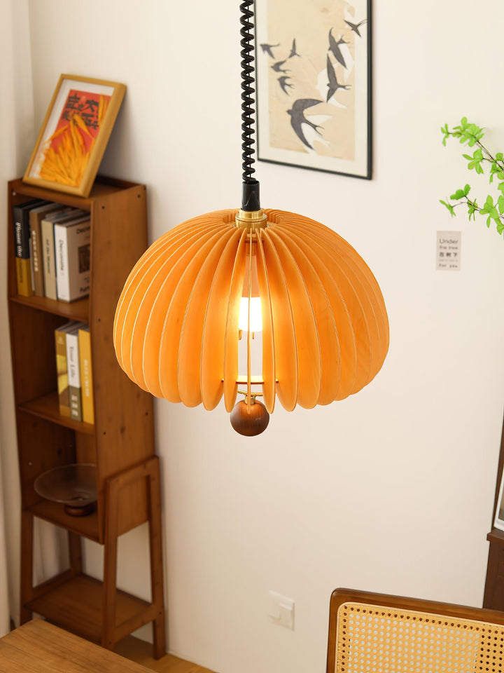 Pumpkin Adjustable Pendant Light - Vakkerlight