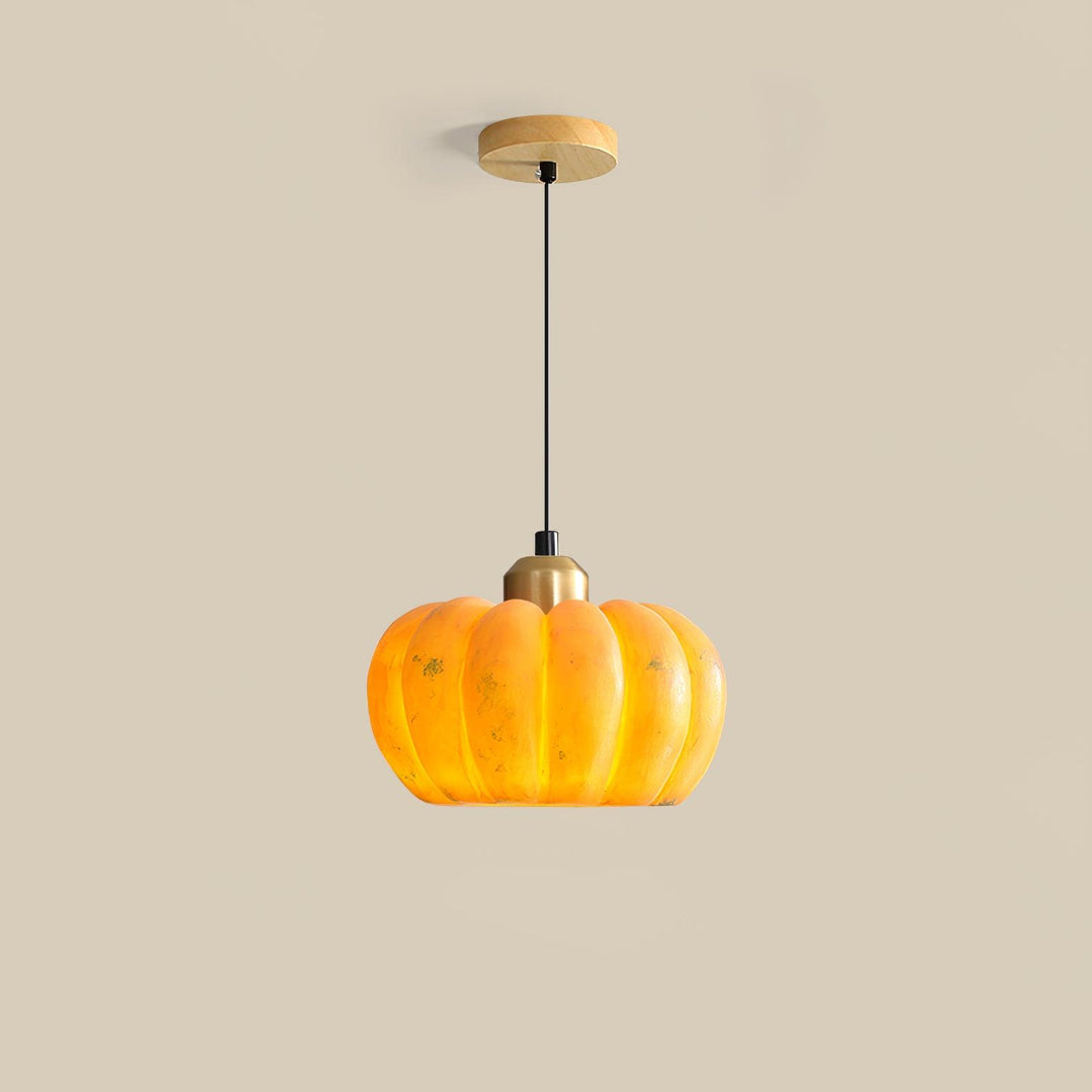 Pumpkin Pendant Light - Vakkerlight