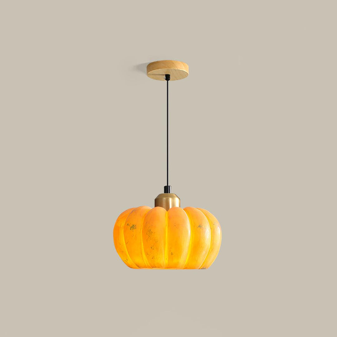 Pumpkin Pendant Light - Vakkerlight