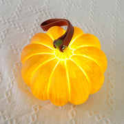 Portable Pumpkin Built-in Battery Table Lamp - Vakkerlight