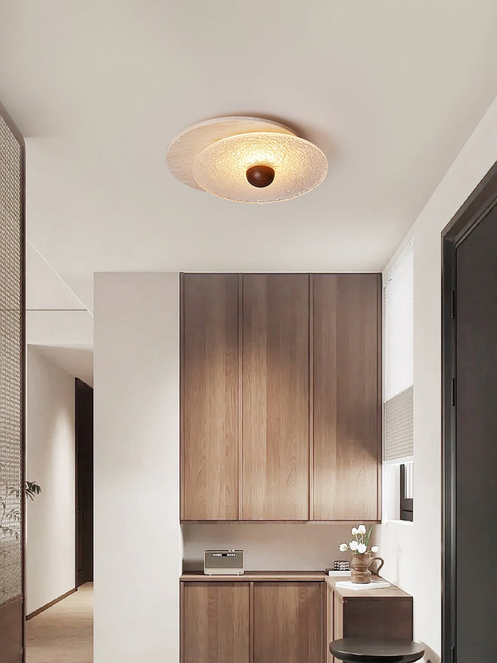 Radiant Disc Ceiling Lamp - Vakkerlight