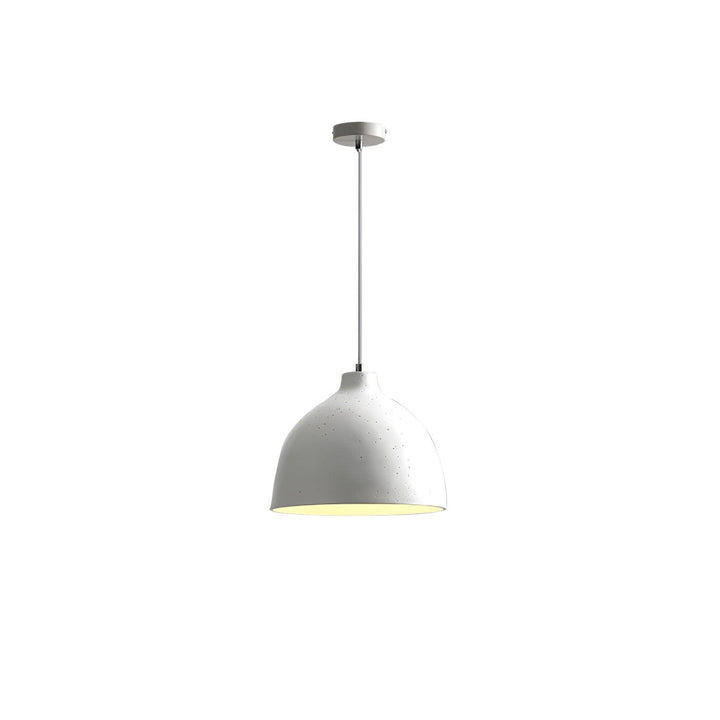 Resin Bowl Pendant Lamp - Vakkerlight