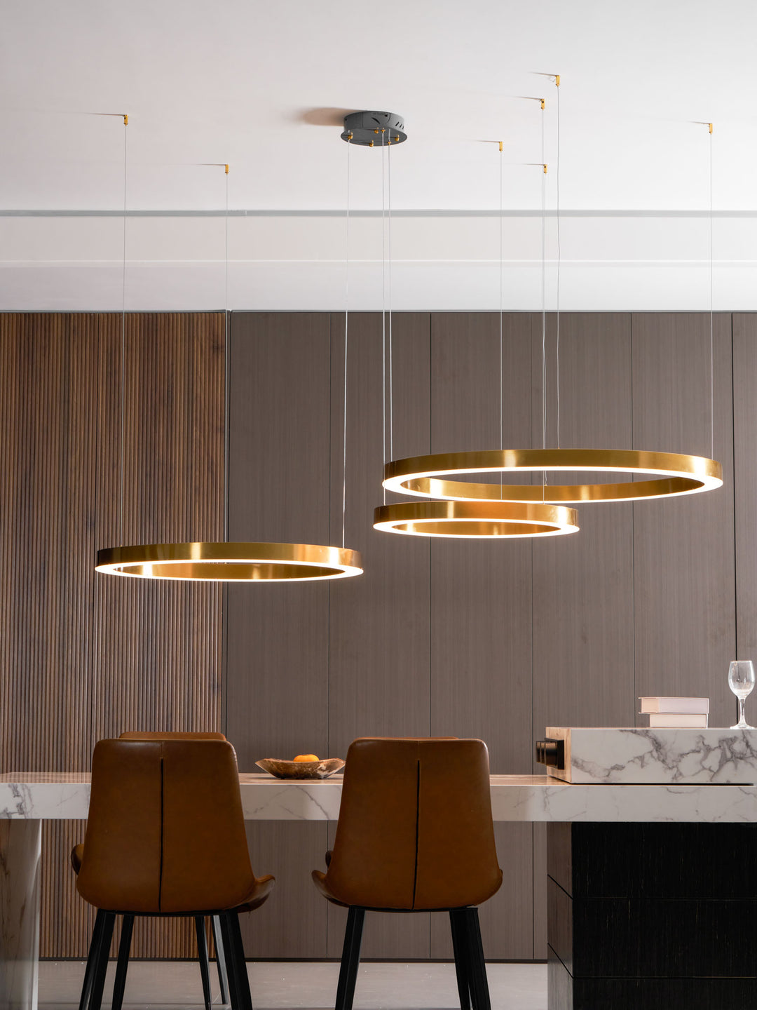 Ring LED Pendant Light - Vakkerlight