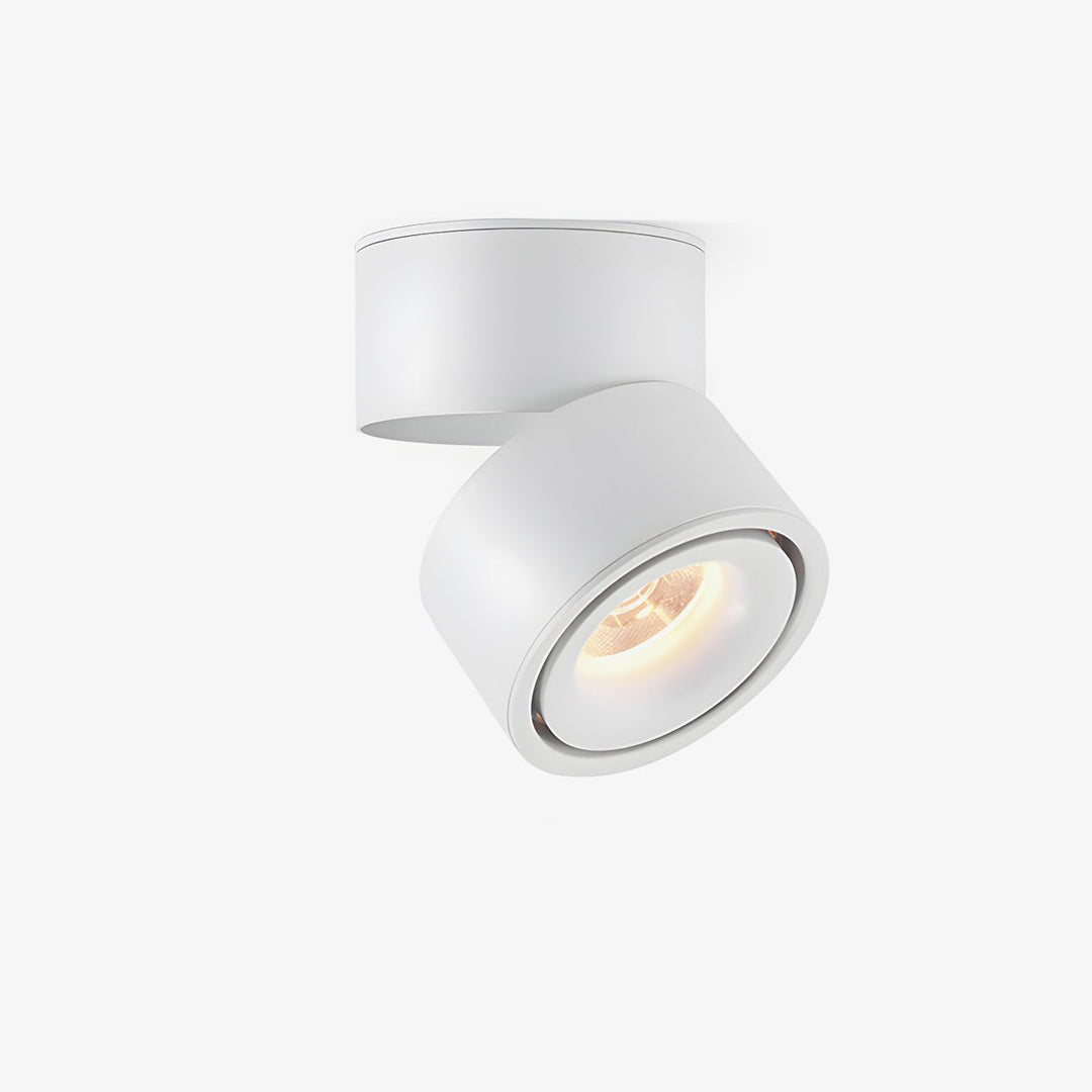 Rotatable Spotlight Ceiling Light - Vakkerlight