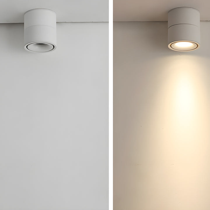 Rotatable Spotlight Ceiling Light - Vakkerlight