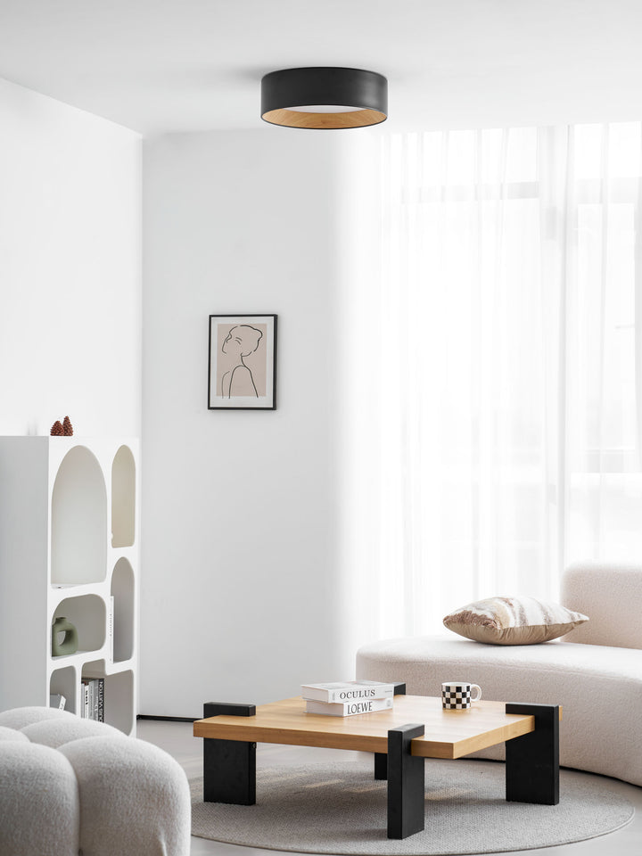 Round Ceiling Lamp - Vakkerlight