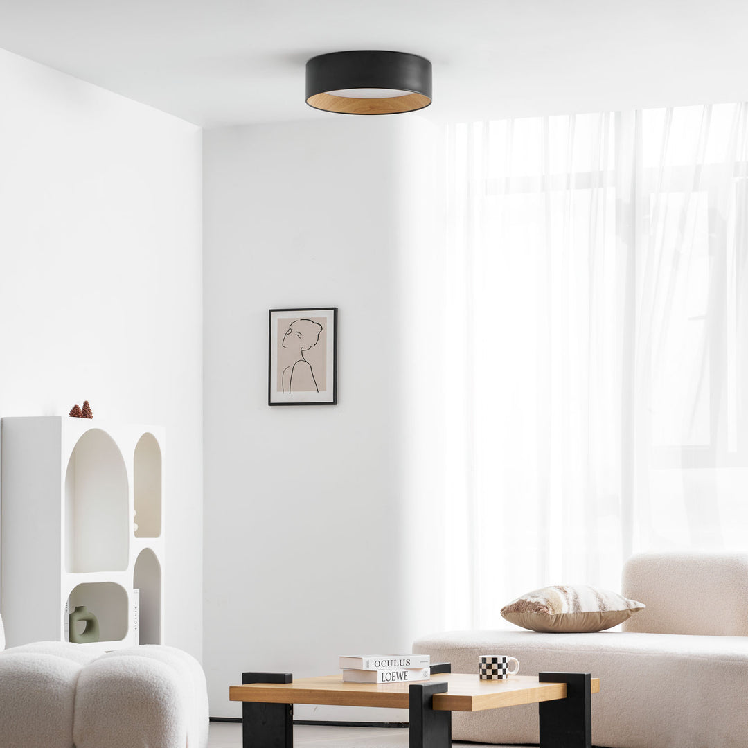 Round Ceiling Lamp - Vakkerlight