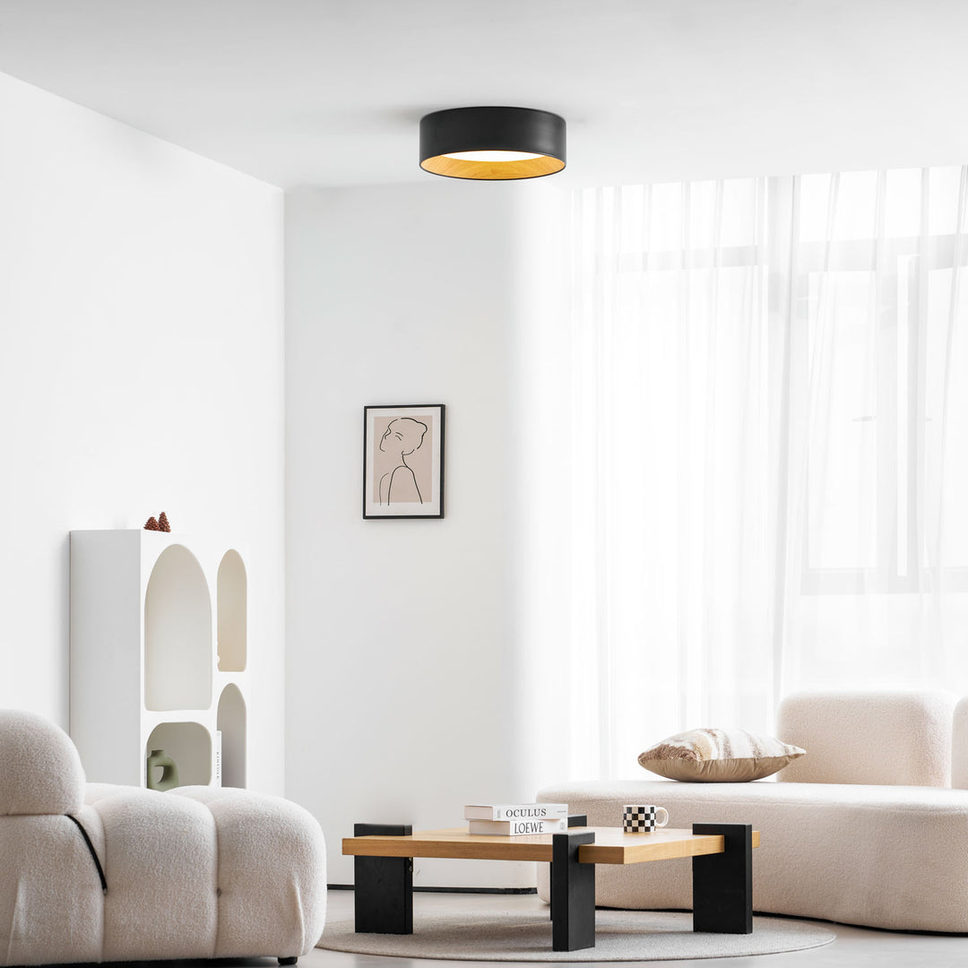 Round Ceiling Lamp - Vakkerlight