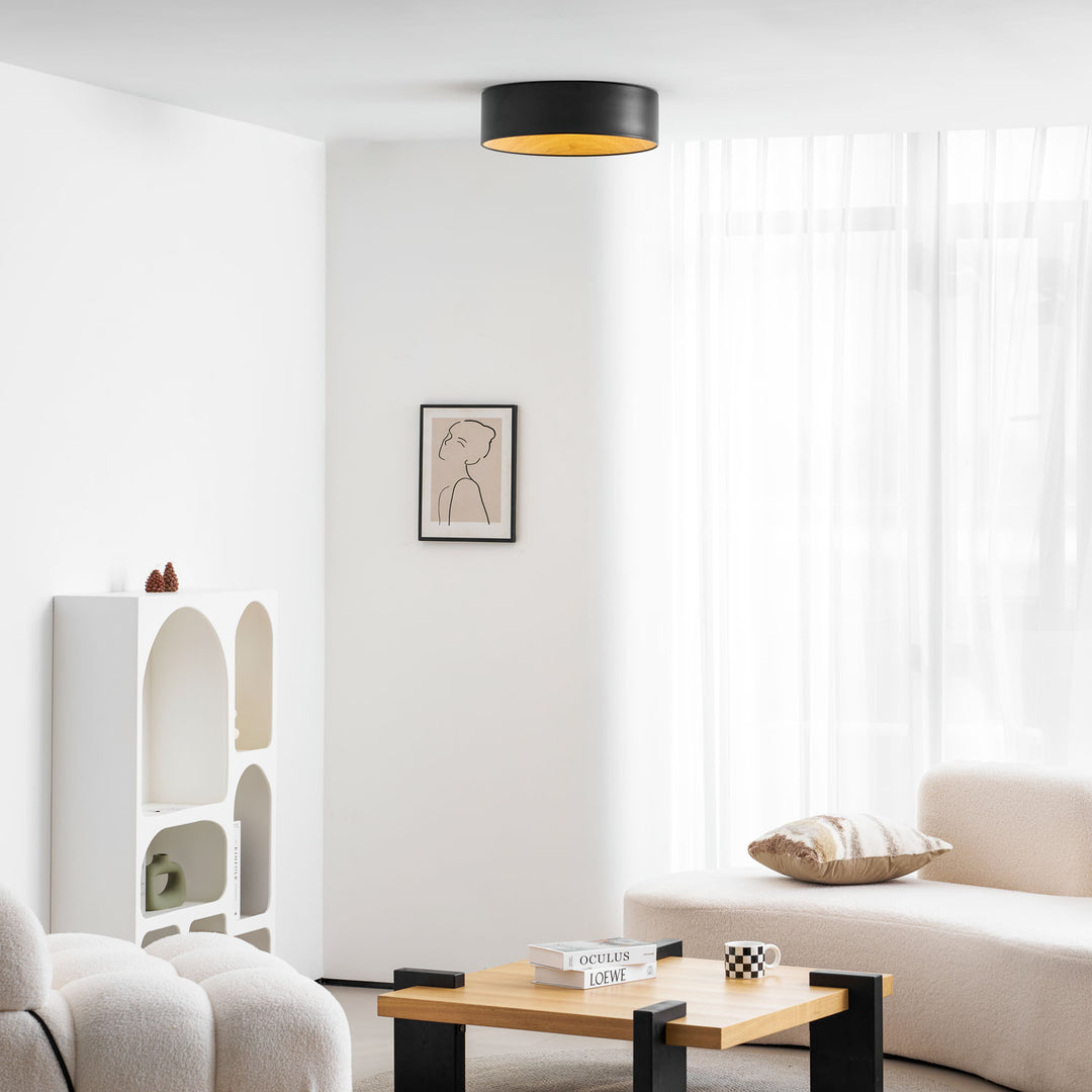 Round Ceiling Lamp - Vakkerlight