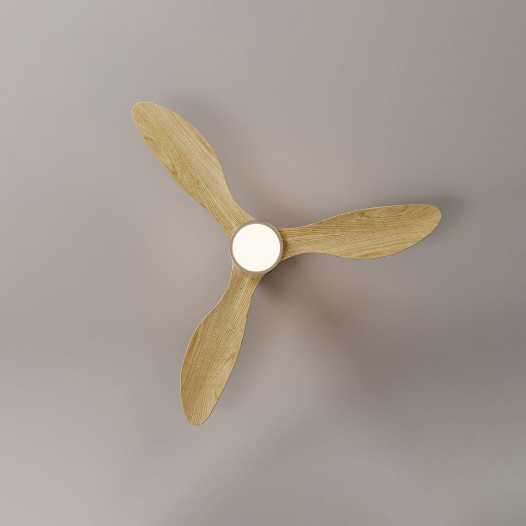 Rovelle Ceiling Fan Light - Vakkerlight