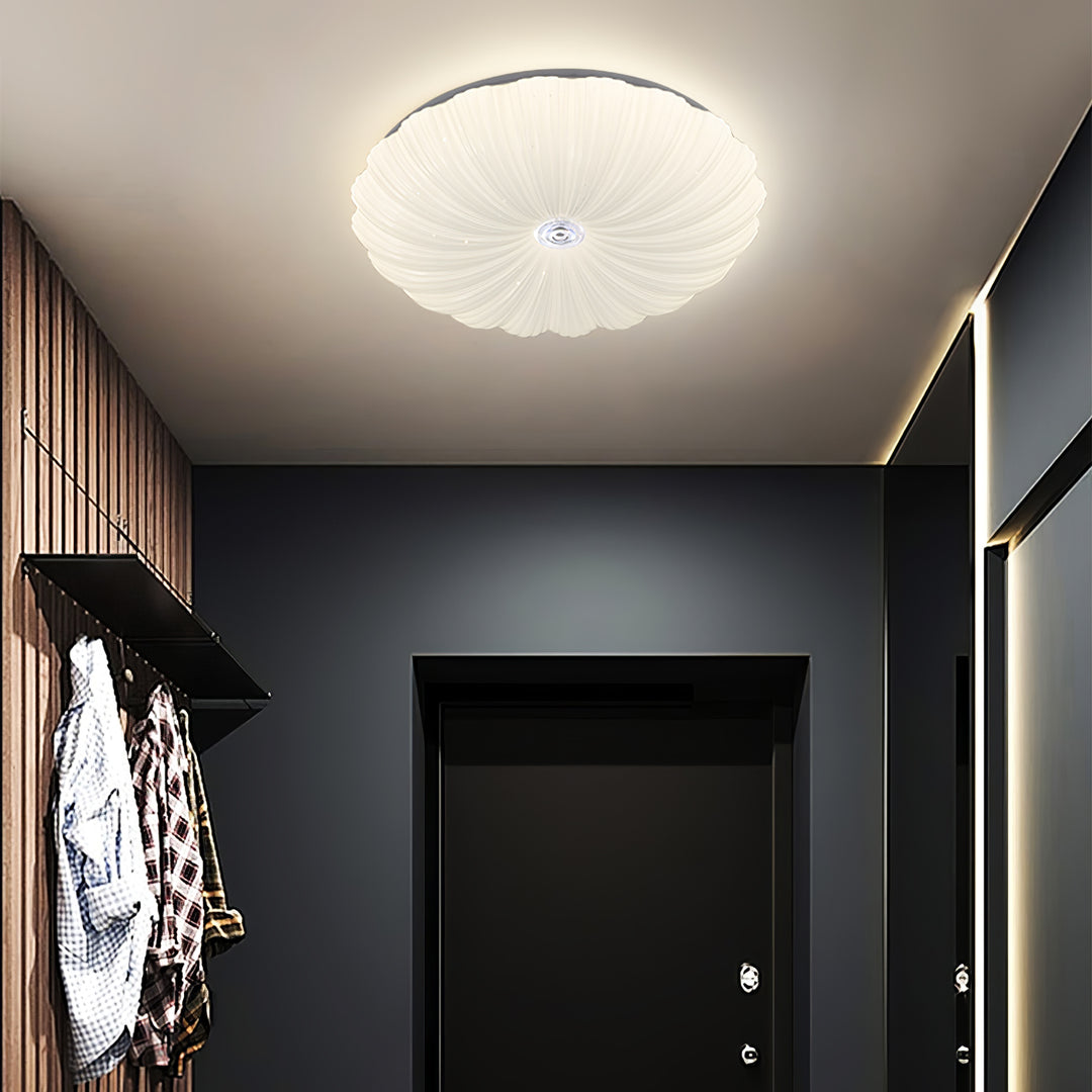 Acrylic Shell Round Ceiling Lamp