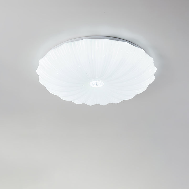 Acrylic Shell Round Ceiling Lamp