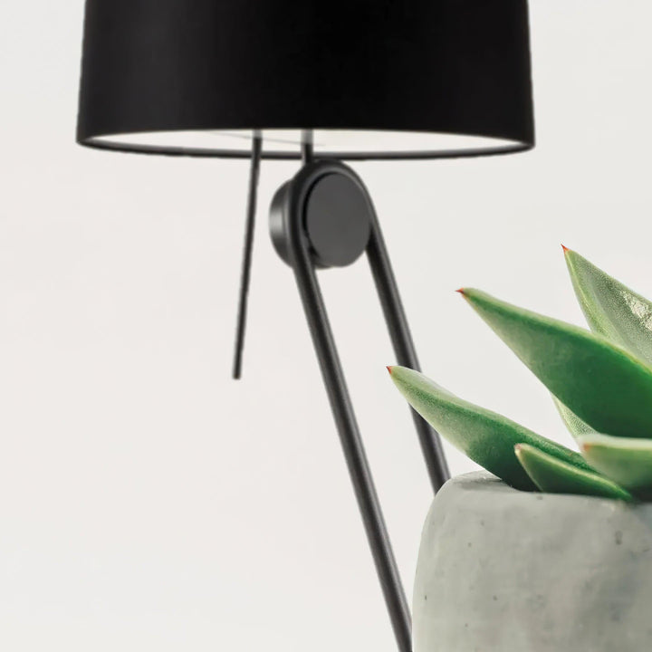 Sibaca Floor Lamp - Vakkerlight