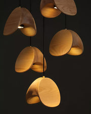 Siyuan Pendant Lamp