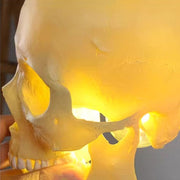 Skull Pendant Light
