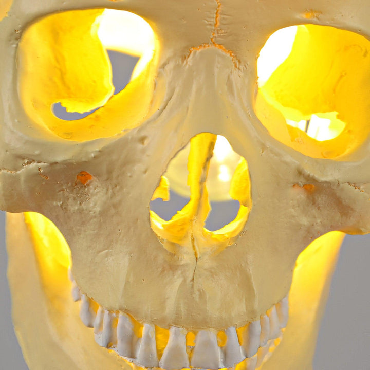 Skull Pendant Light - Vakkerlight