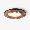 Sky Lake Ceiling Lamp - Vakkerlight