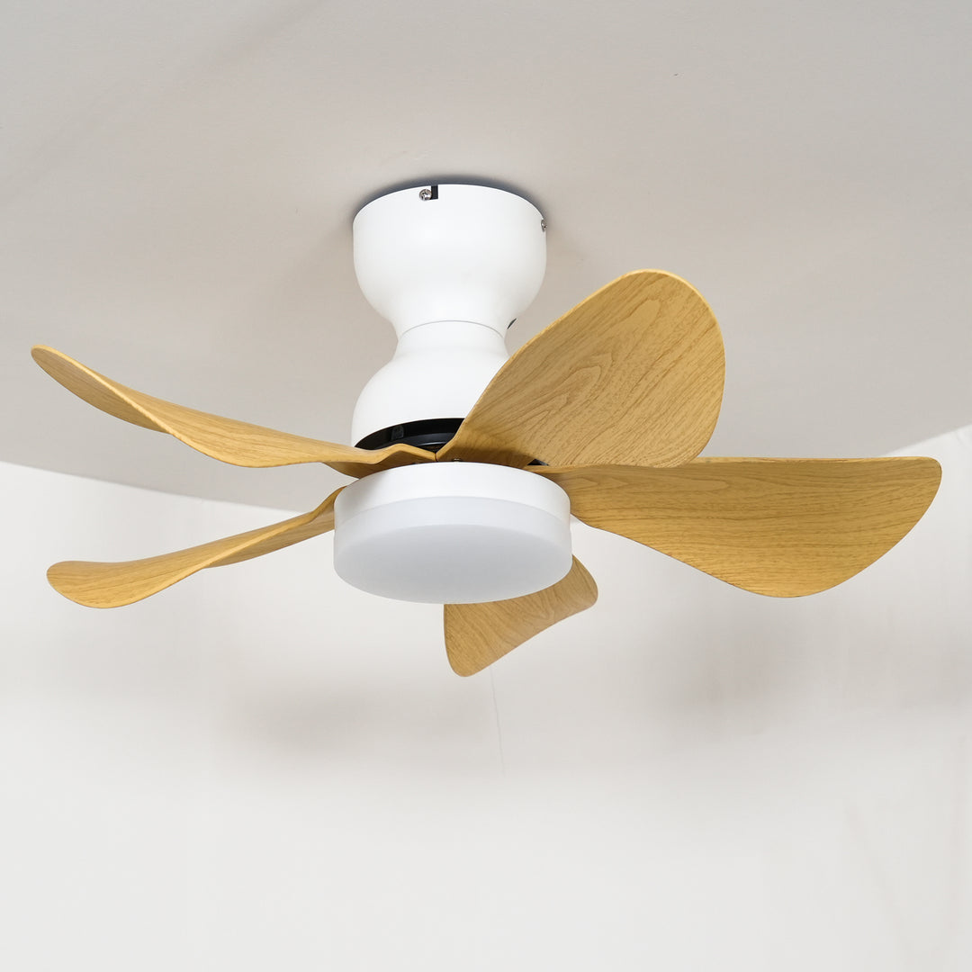 Small Arilia 29" Ceiling Fan Light - Vakkerlight