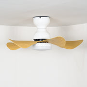 Small Arilia 29" Ceiling Fan Light