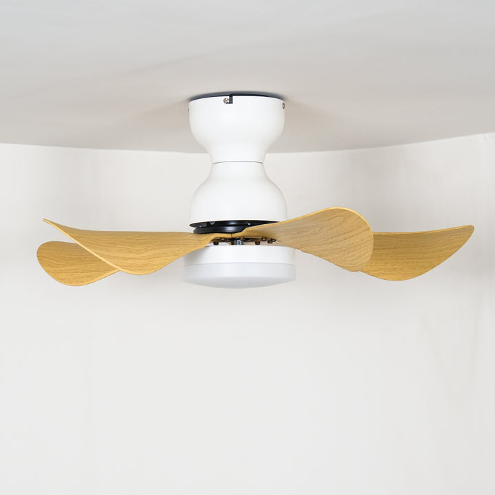 Small Arilia 29" Ceiling Fan Light - Vakkerlight