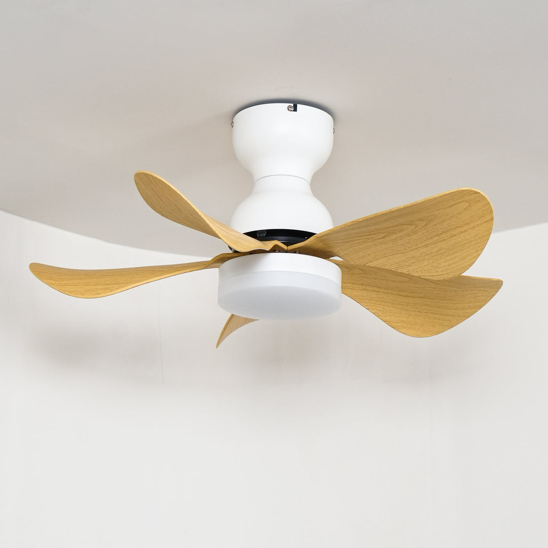 Small Arilia 29" Ceiling Fan Light - Vakkerlight