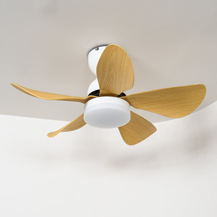 Small Arilia 29" Ceiling Fan Light - Vakkerlight