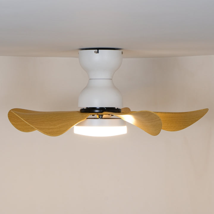 Small Arilia 29" Ceiling Fan Light - Vakkerlight