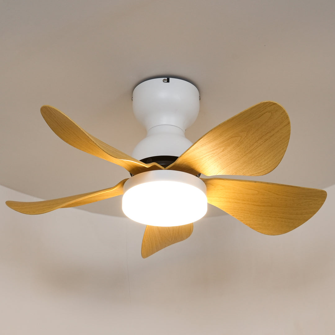 Small Arilia 29" Ceiling Fan Light - Vakkerlight