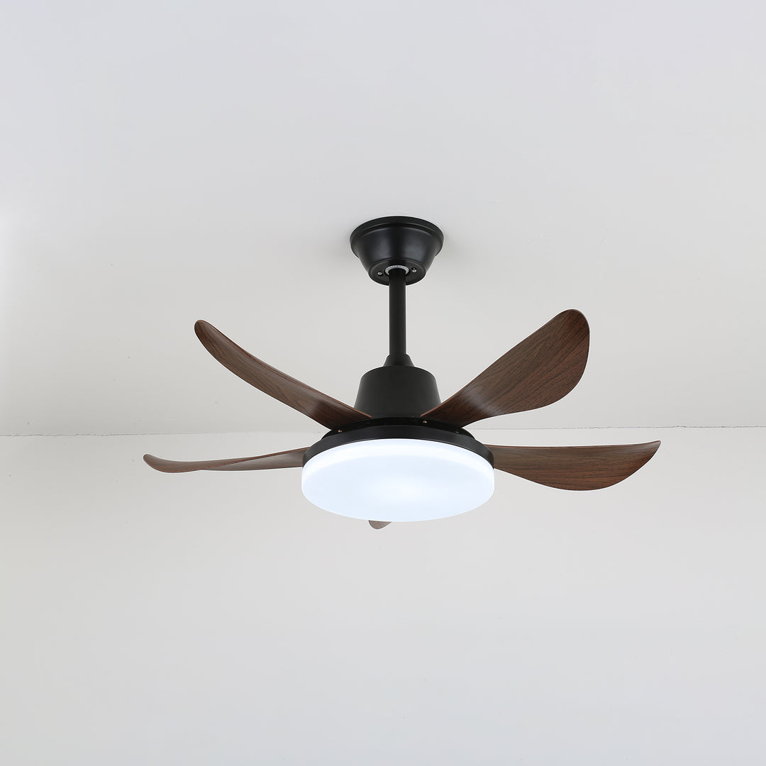 Lucas Ceiling Fan Light - Vakkerlight