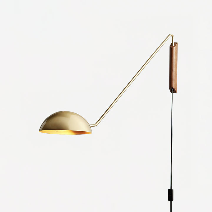 Swing Dome Wall Light