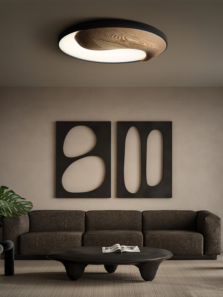 Taiyi Balance Ceiling Light - Vakkerlight