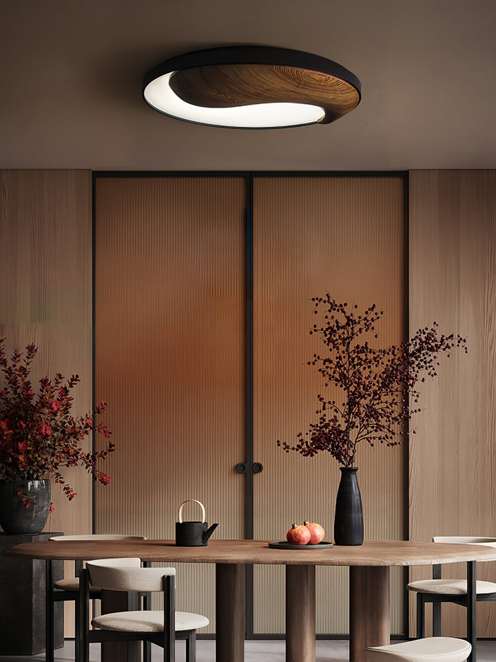 Taiyi Balance Ceiling Light - Vakkerlight