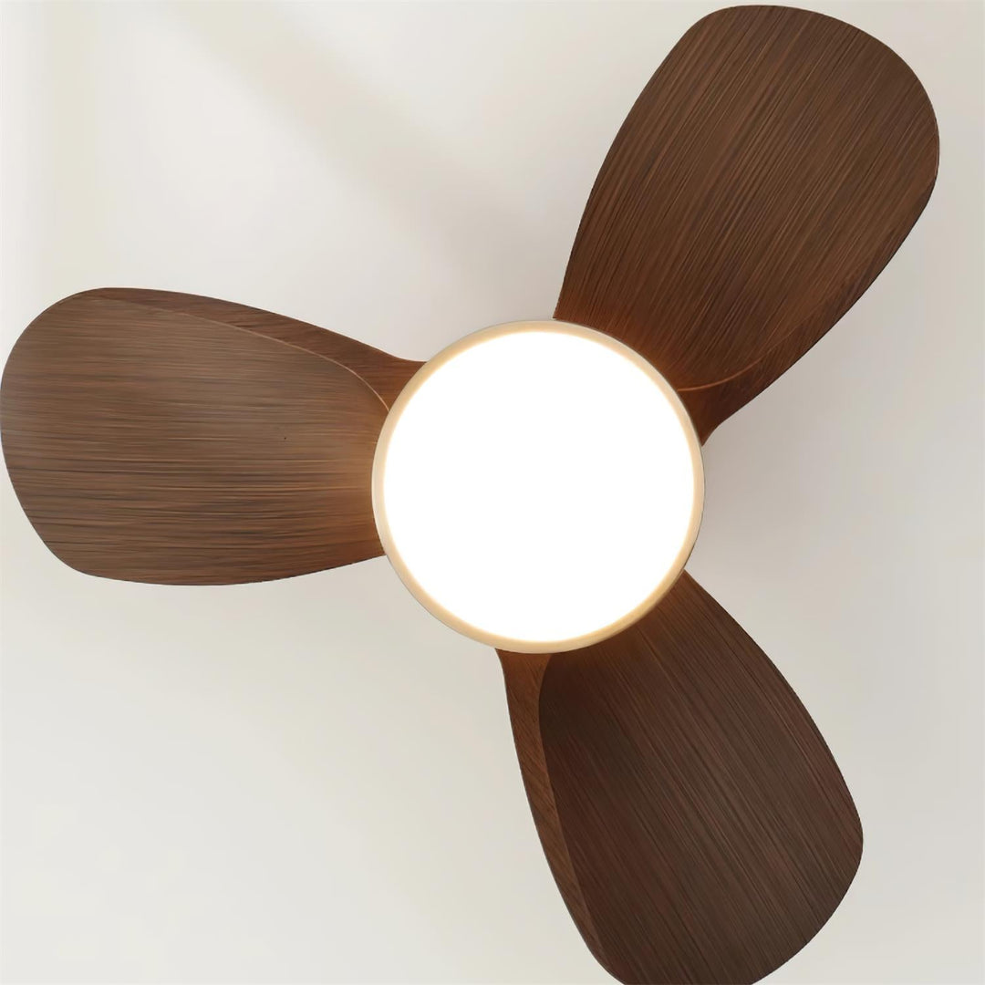 Talaya Ceiling Fan Light - Vakkerlight